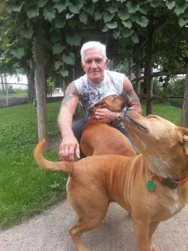 Stephen Bounds's avatar