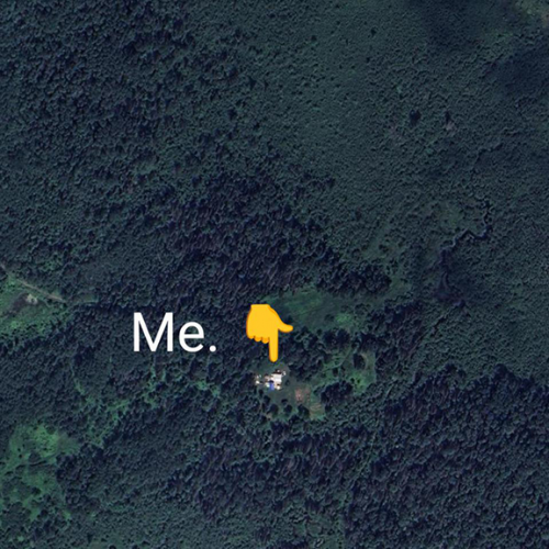 Tanya Harris's avatar